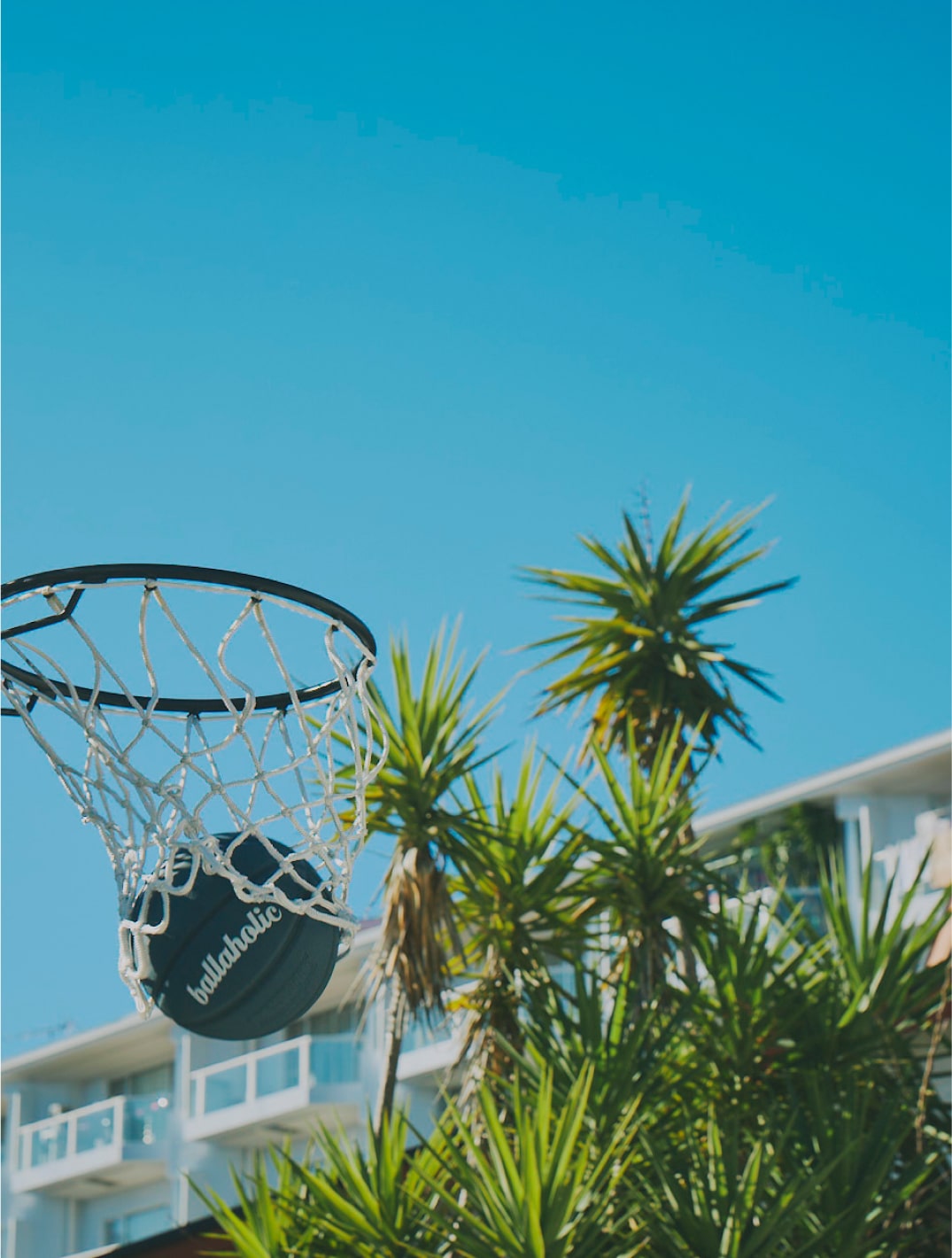 バスケットゴールにボールが入ったシーンの写真