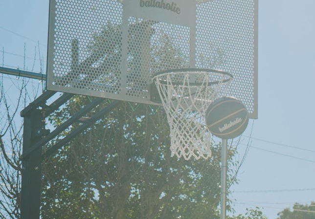 ballaholic PLAY & STAY 伊豆高原のバスケットゴール